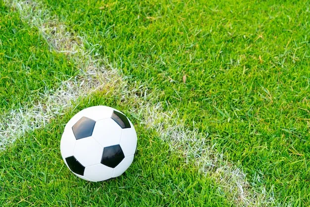 MK体育 体育盛况